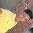 @ahmedfathycr7230