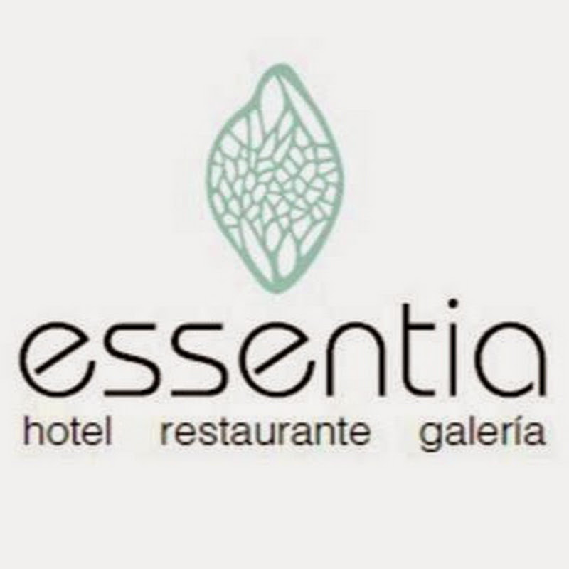 Hotel Restaurante Essentia
