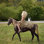 Horses on farm