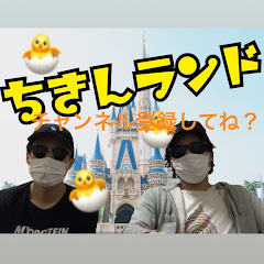 ランドちきん