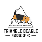 Triangle Beagle Rescue of NC