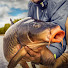 Ja6-UL4rr_Q-channel-avatar-Catch Fish With ET