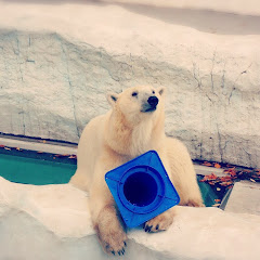 おむらいす