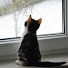 zeu3n08RUVE-channel-avatar-Oscar
