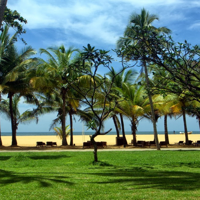 Hotel Bookings in Sri Lanka