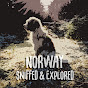 Norway Dog Walks logo