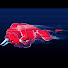 Channel Image