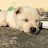 @user-sb2xy8wu6l