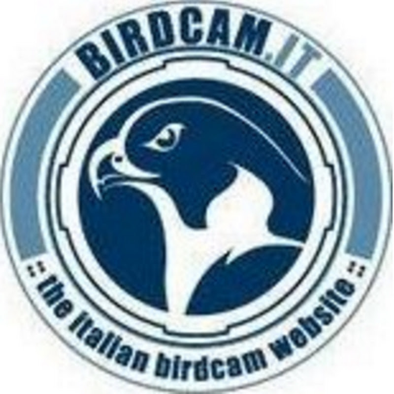 Birdcam.it logo
