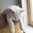 @고양이-u7f