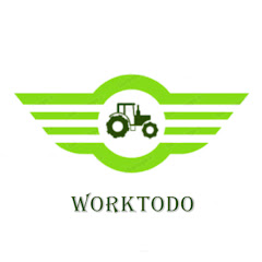 WorkToDo net worth
