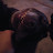 @atticustheory7's avatar