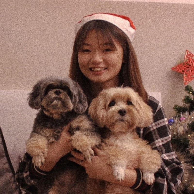 Momo is cute