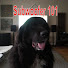 CnBq0BPJFkA-channel-avatar-Subwoofer 101