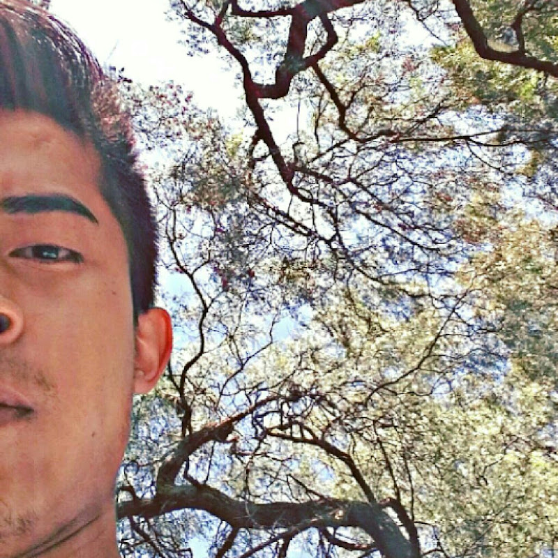 Brandon Alcazar
