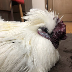 らいほぷ ‐あにまーれ見所倉庫‐