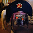 Act0SdlYPWE-channel-avatar-Pirate Dog