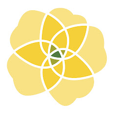 Atlanta Womens Foundation Inc