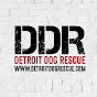 Detroit Dog Rescue logo