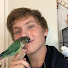 hj5l-quwUDk-channel-avatar-How.To.Parrot