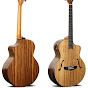 Deviser Guitar