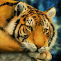 Yanir Andres Moreno Image Thumbnail