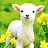 @thepetlamb's avatar