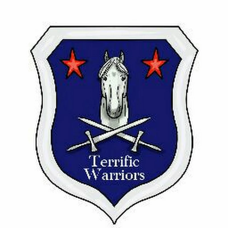 Terrific Warriors