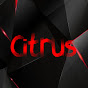 Citrus logo