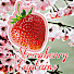 fbRGz_EnvlM-channel-avatar-Strawberry Captains