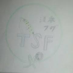 TSF スタッドレスアイコン画像