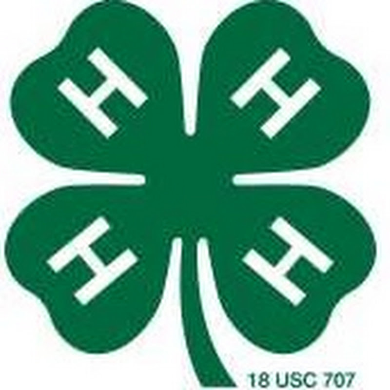 District 9 4-H
