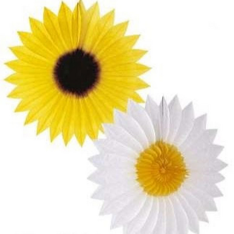Daisy and Sunflower Receitas