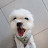 @양쿠키와설희네