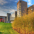 jOFt9Opvtdg-channel-avatar-Charles B. Wang Center