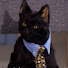 Channel Image