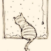 Theory of A Cat