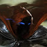 2PYICRq58b4-channel-avatar-RipNtear Gaming