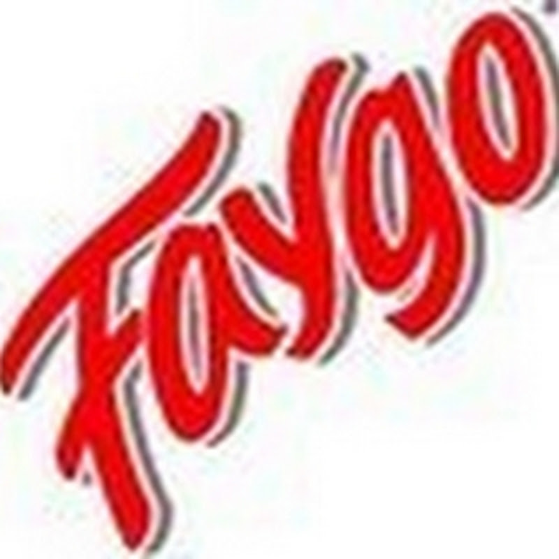 Faygovision