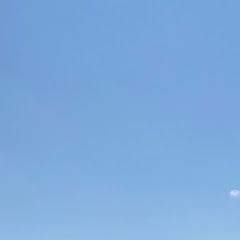 にんじん