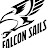FalconSails