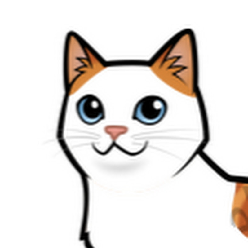 Cannelle The Cat