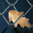 @domonicwhite's avatar