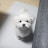 @dohyung2ify