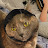@maddagger2000's avatar