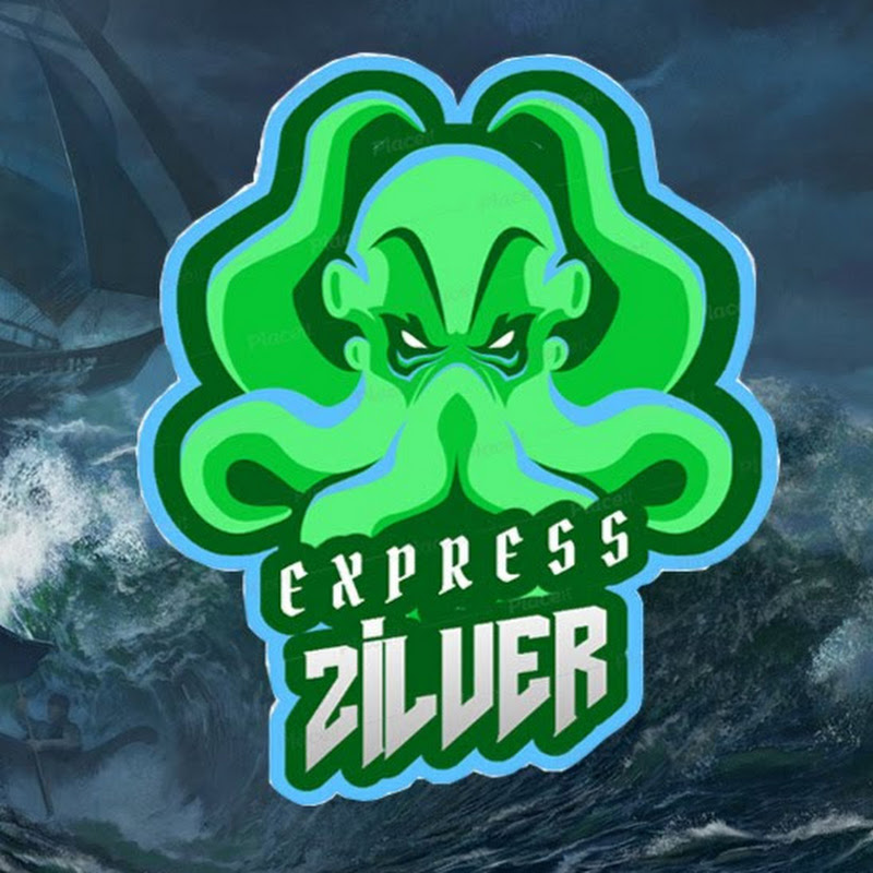 Express Zilver