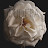 @MIDERA's avatar