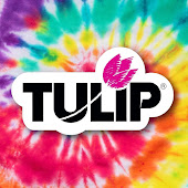 TulipColorCrafts
