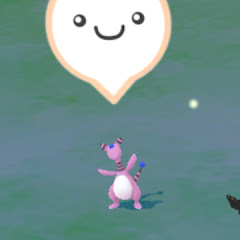まめもここ