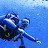 @scubasausage's avatar